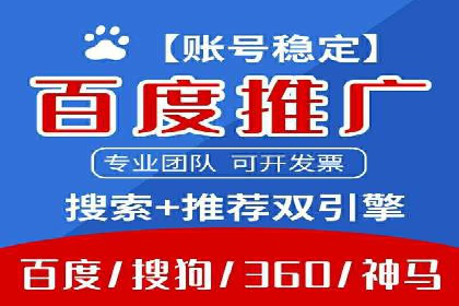 竞价广告投放技巧与案例分析
