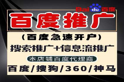 成功SEM投放案例分享